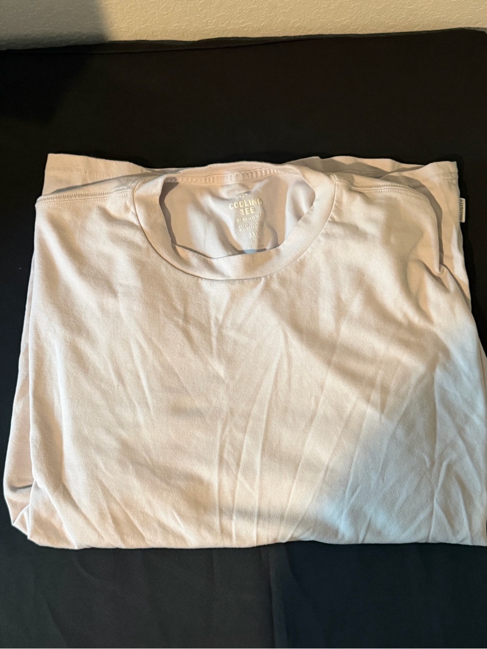 Hollister Light Purple Short Sleeve Crewneck Tee (RELAXED FIT)